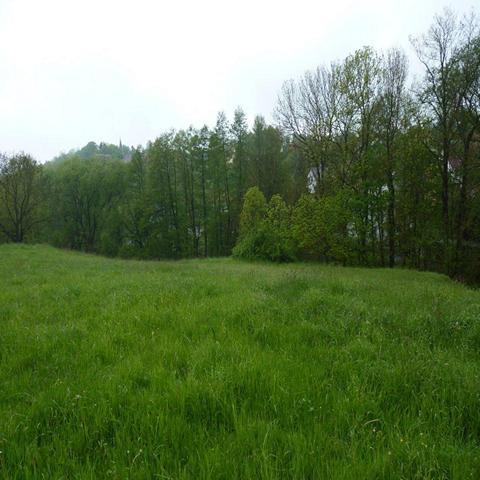 Gera – Vertragsfreies Grundstück für Land- und Forstwirtschaft in der Nähe bestehender Bebauung