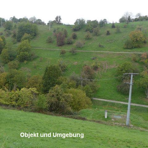 Loffenau - kleine Landwirtschaftsfläche für den Stückle-Traum